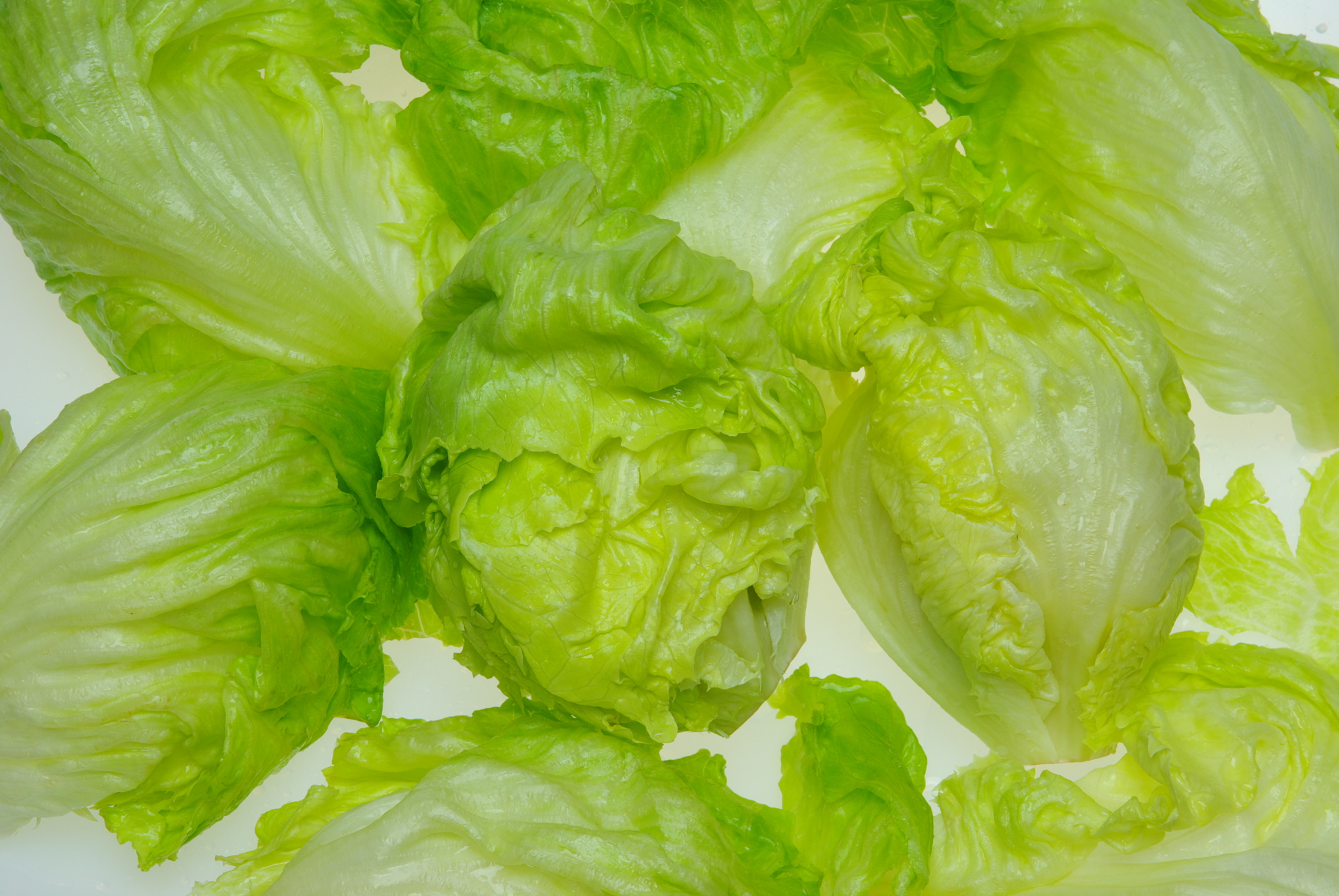 top_banner